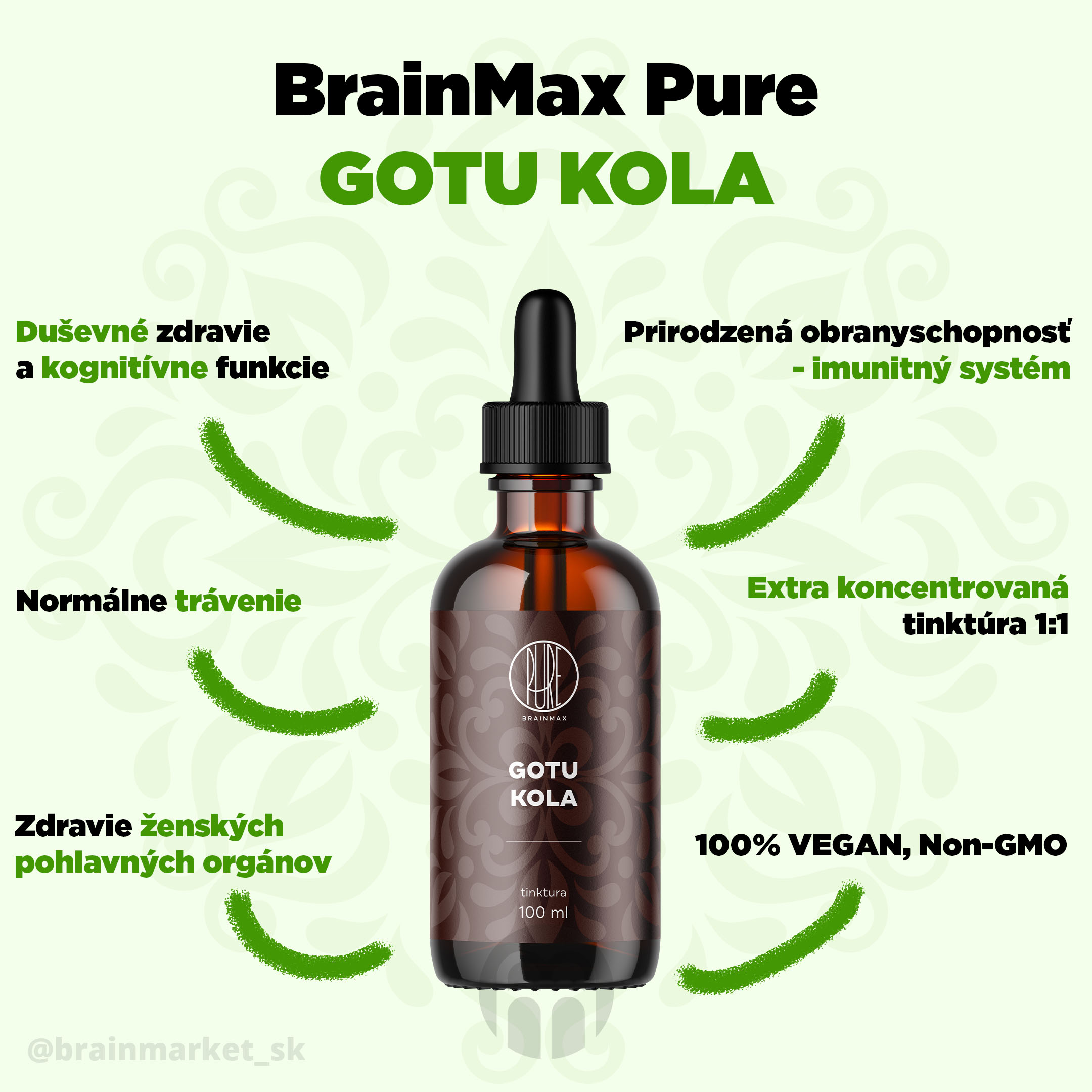 gotu kola tinktura infografika brainmarket SK